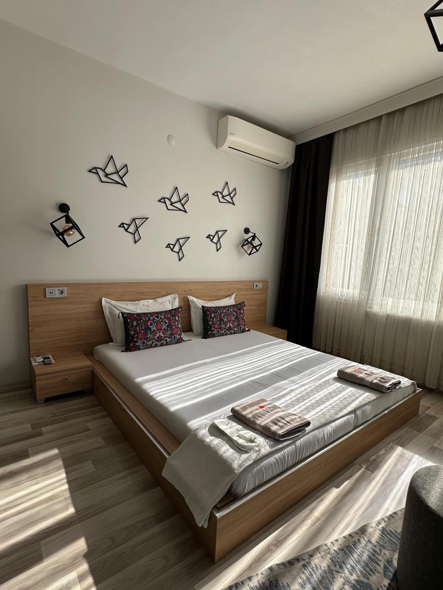 Hotel Social House *